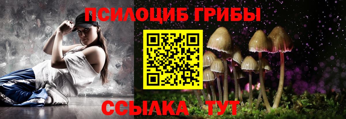 Псилоцибиновые грибы Cubensis Татарск